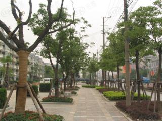 泾阳家园