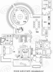 盛大金磐公寓房型: 四房;  面积段: 263 －310 平方米;
户型图