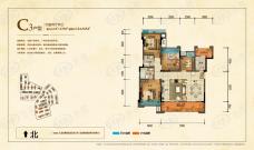 华美翡丽山C3户型户型图