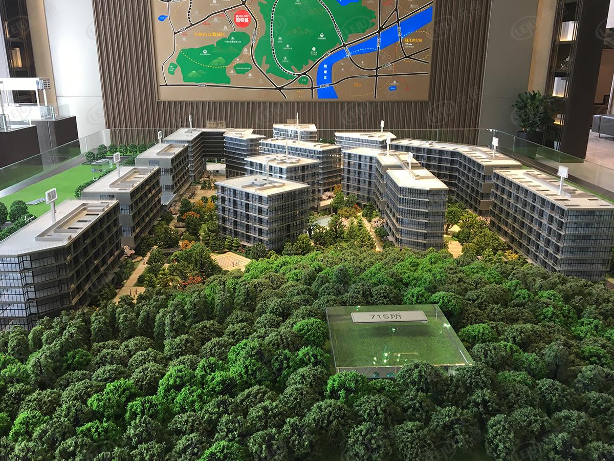 杭州市西湖小和山景顺铂悦城 起价已售完