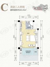 鹤鸣青云墅C户型 1室0厅1卫户型图