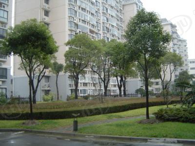 社区实景