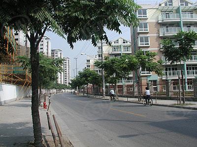 社区实景