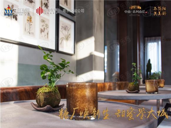 社区实景