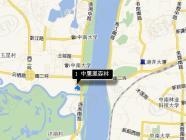 中鹰黑森林