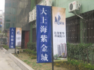 大上海紫金城