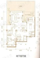 珠江东岸C双拼别墅地下层平面6室3厅6卫1厨户型图
