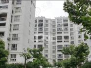 金台苑