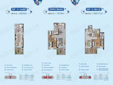 鼎龙湾·海洋王国组团三室两房两卫户型图
