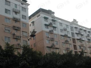 下藤旧屋区改造(福美苑)