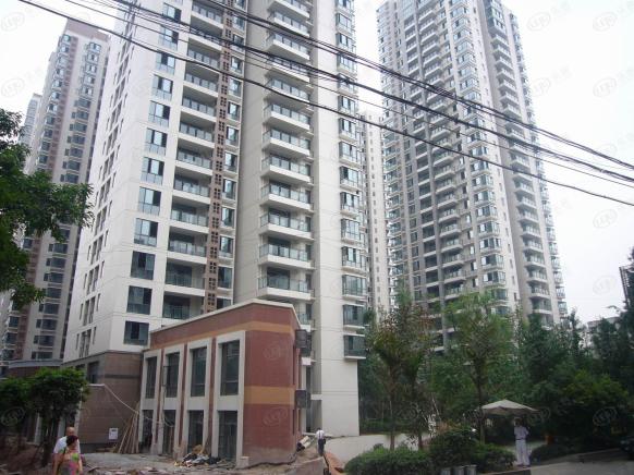 社区实景