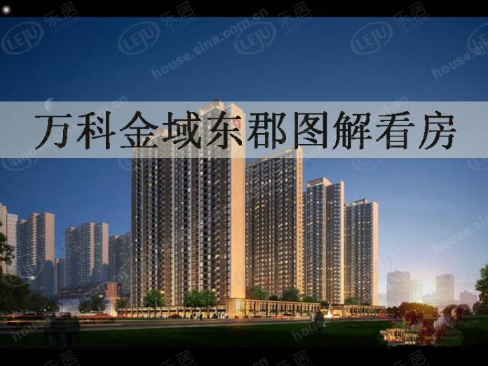 万科金域东郡 图解看房