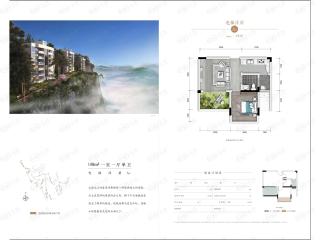 隆鑫澜天湖达沃斯国际度假村A2户型户型图