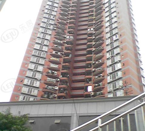 社区实景