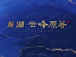 龙湖云峰原著