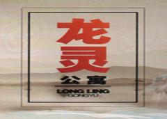 龙灵公寓