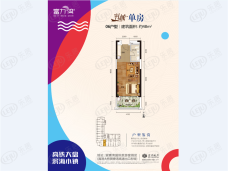 惠州富力湾48㎡单房户型图