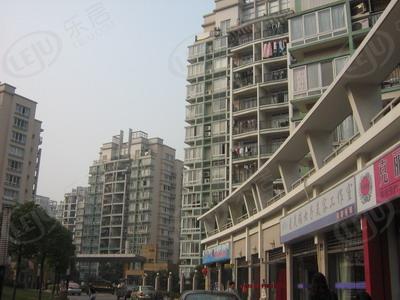 社区实景
