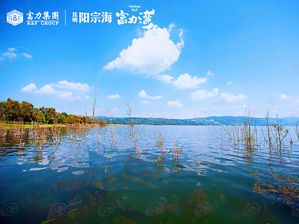 宜良县昆明阳宗海富力湾，坐落于昆明市宜良县阳宗海，预计价格为6500。
