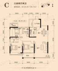 柳工颐华城11#C户型户型图