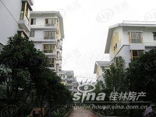 公园绿涛湾