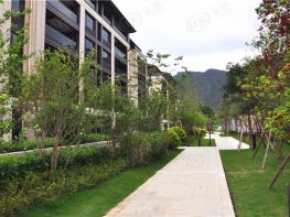 九洲绿城·翠湖香山社区实景