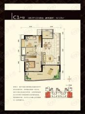 海润桃花岛C1户型户型图