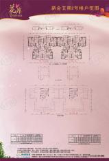 新会碧桂园2室户型图