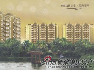 莲湖湾畔