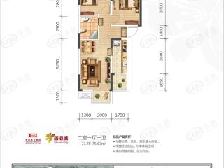 碧桂园江山名筑D1户型户型图