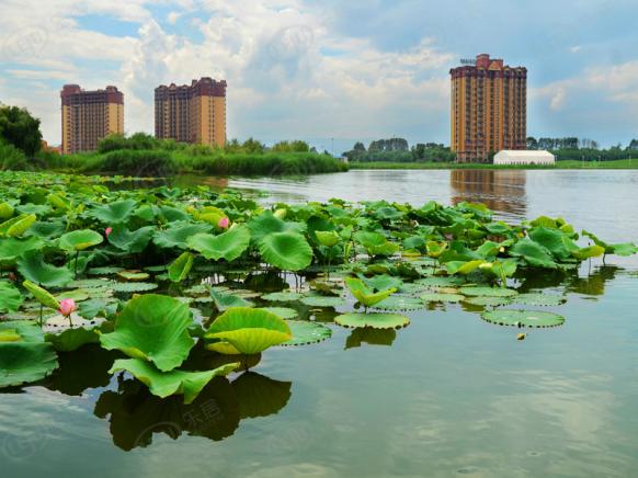 社区实景