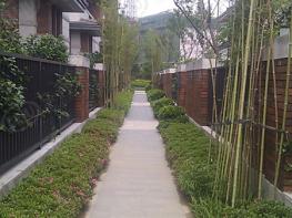 万科润园社区实景