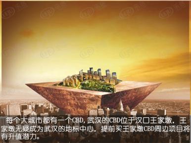 CBD楚世家