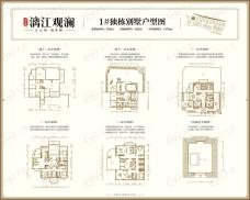 安厦漓江观澜1#独栋别墅户型户型图