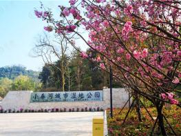 花果园社区实景