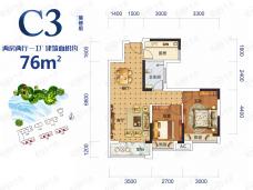 湖光山舍C3户型图