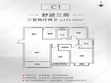 置地天中第一城上河苑3室2厅2卫户型图