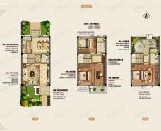 朗诗绿洲天屿D户型 玲珑水岸户型图