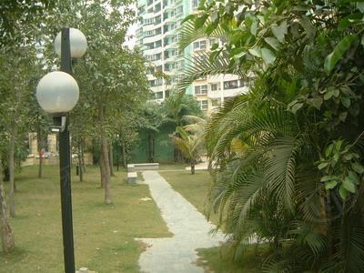 社区实景