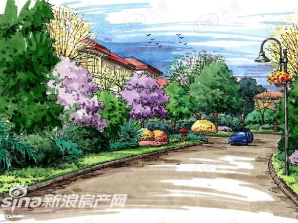 效果图