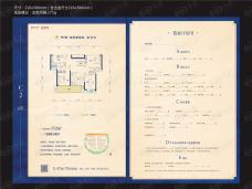 中建生态智慧城C-2户型图