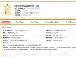 保利佲悦大都汇营业执照