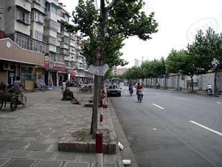 兰庭