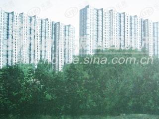 汾河景观360