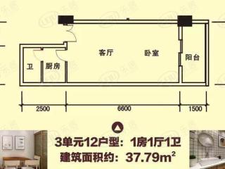 恒大御景半岛3单元12户型户型图