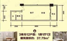 都市春天1室1厅1卫户型图