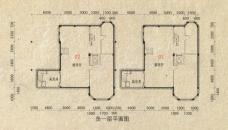 碧桂园凤凰城钻石墅N55-2a负一层户型图