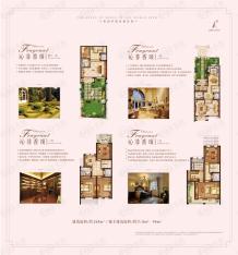 青岛中海玫瑰庭院4室2厅2卫户型图