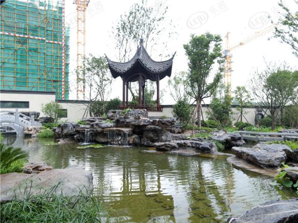 社区实景