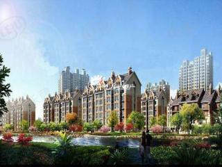 丽水丁香园